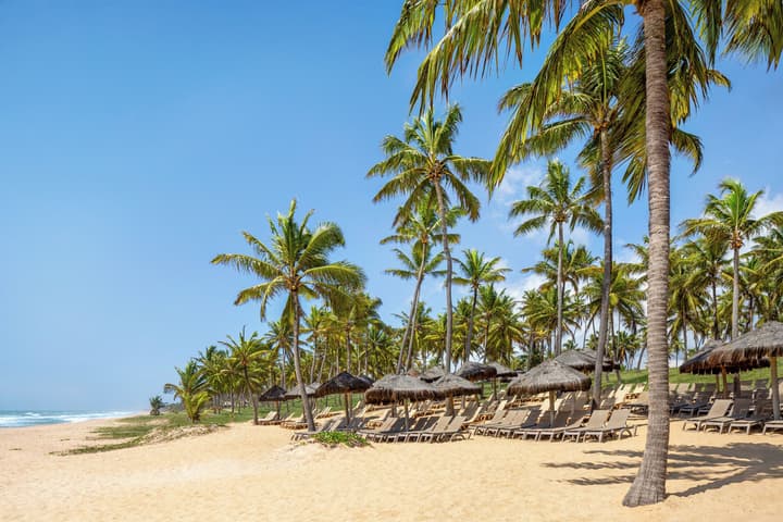 Family Selection At Grand Palladium Imbassai Resort & Spa