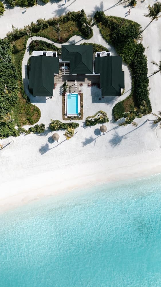 Joy Island