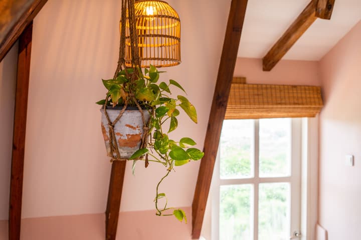 Plantation Jan Thiel Lodge