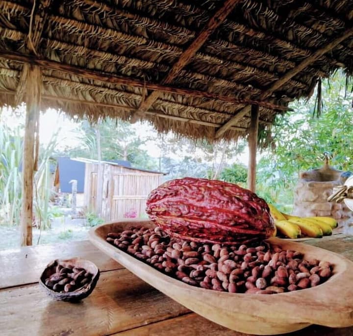 Cacao Glamping