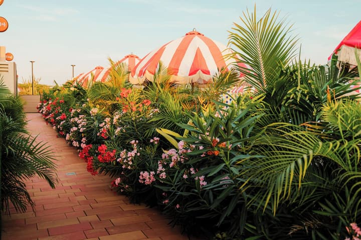Privada Stays - Private Pools & Colorful-Chic Boutique Hotel - Adults Only