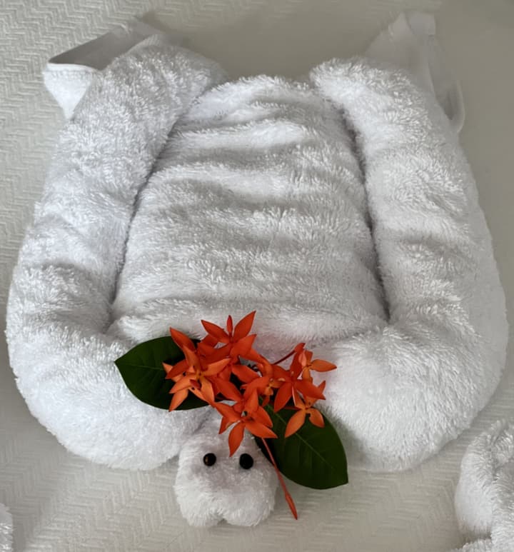 Akwaba Lodge Island Boutique Hotel
