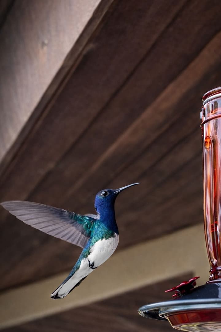 Akwaba Lodge Island Boutique Hotel