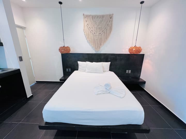Live Coco Suites