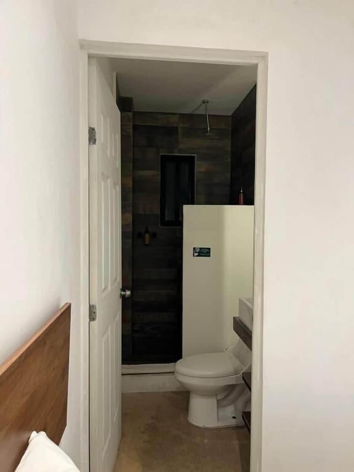 Live Coco Suites