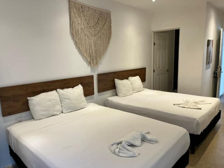 Live Coco Suites