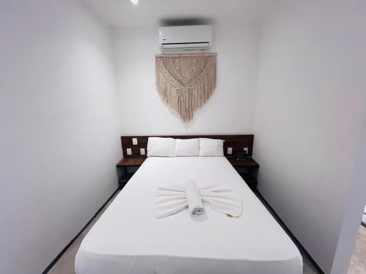 Live Coco Suites