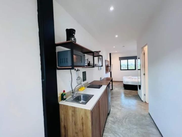 Live Coco Suites
