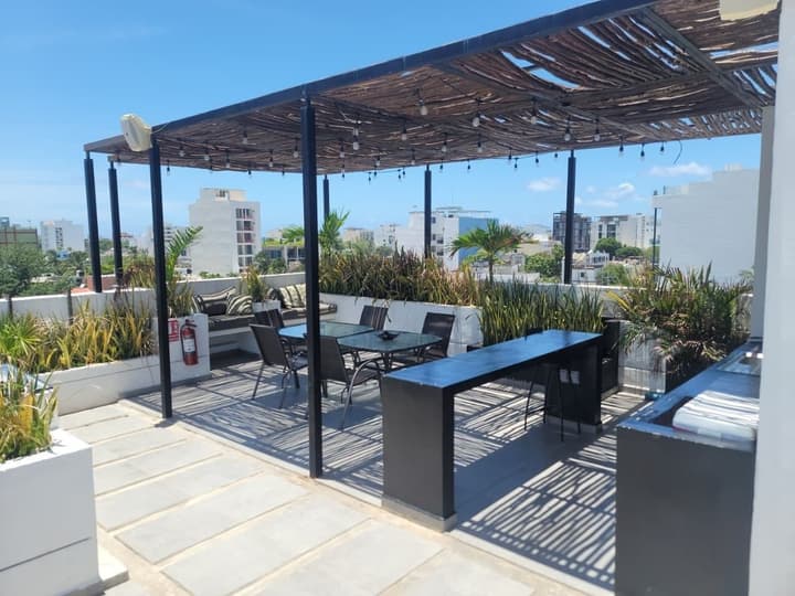 Live Coco Suites