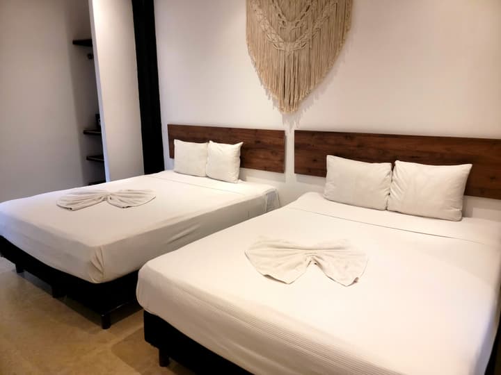 Live Coco Suites