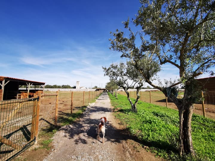 Quinta do Louredo