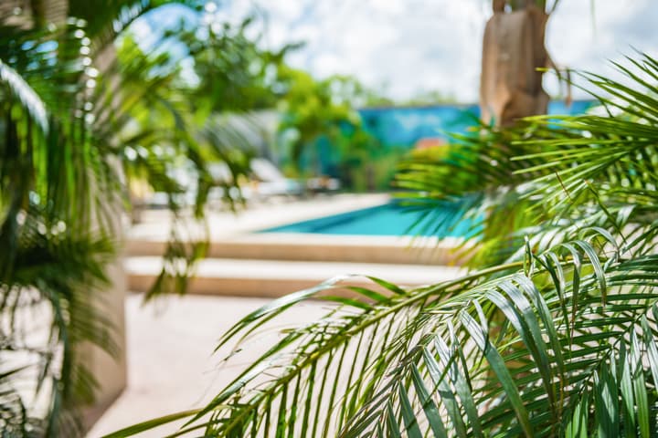 Casita Palma by Boutique Bonaire Unique Resorts