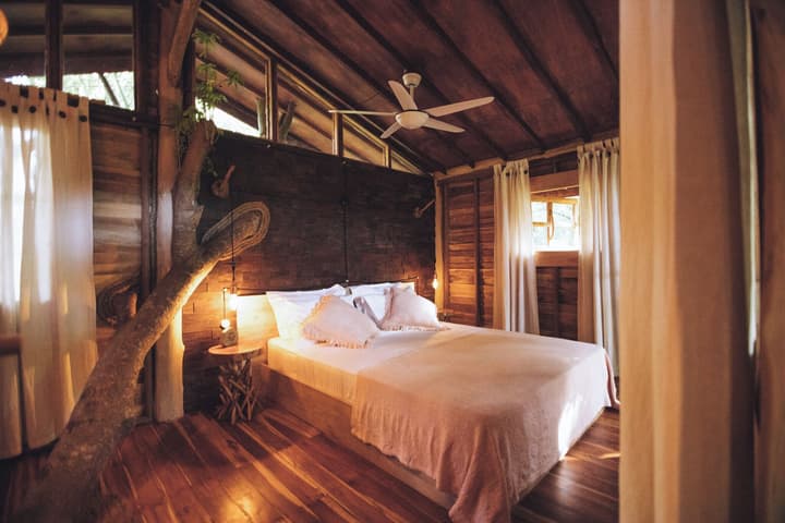 Roots Tree House