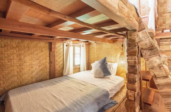 Roots Tree House