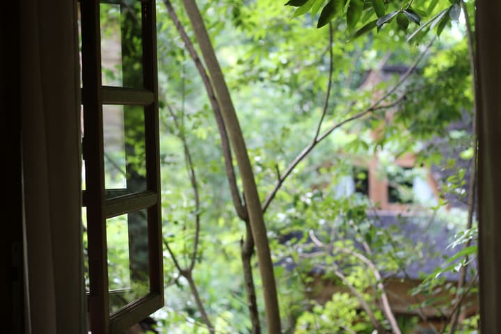 Roots Tree House