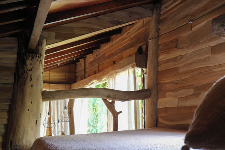 Roots Tree House