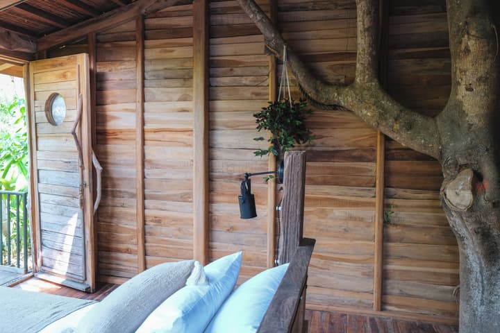 Roots Tree House