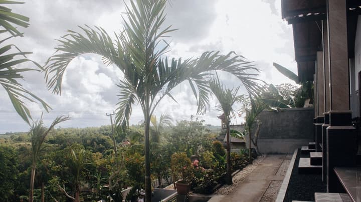 The Sabho Garden