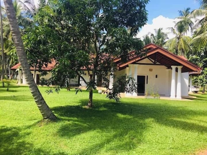 Coco Villa Peach Tree