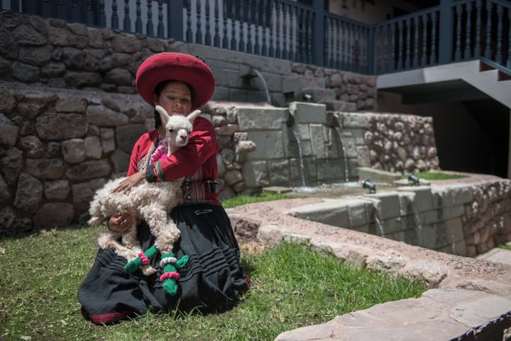 Motto by Hilton Cusco