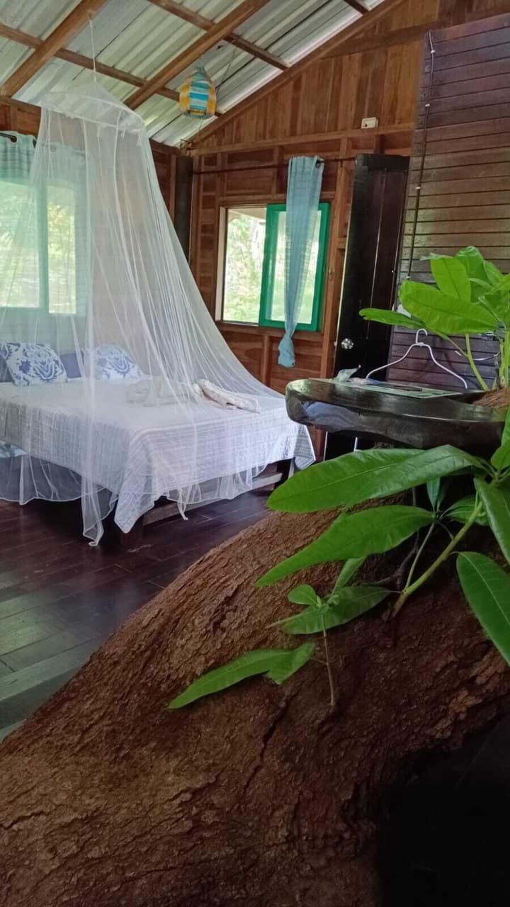 Playa Grande Lodge