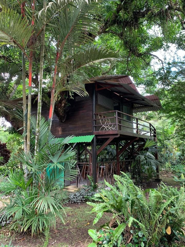 Playa Grande Lodge