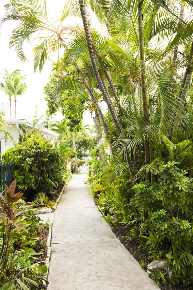 Bay View Suites Paradise Island