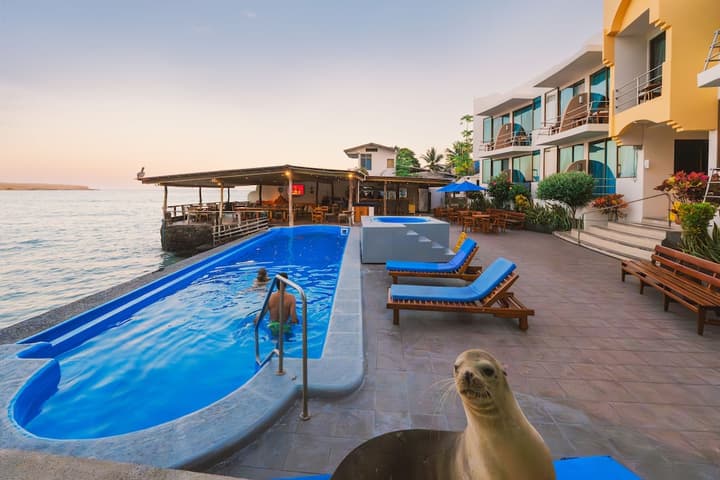 Hotel Solymar