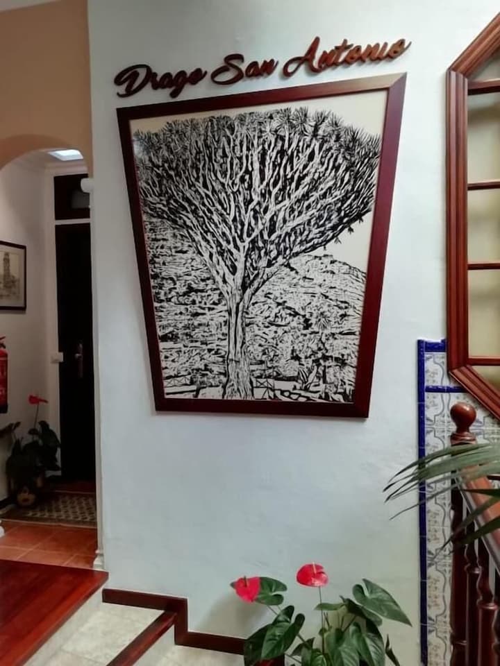 Hotel Drago San Antonio