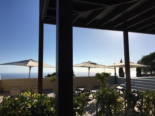 Canaan In Tenerife