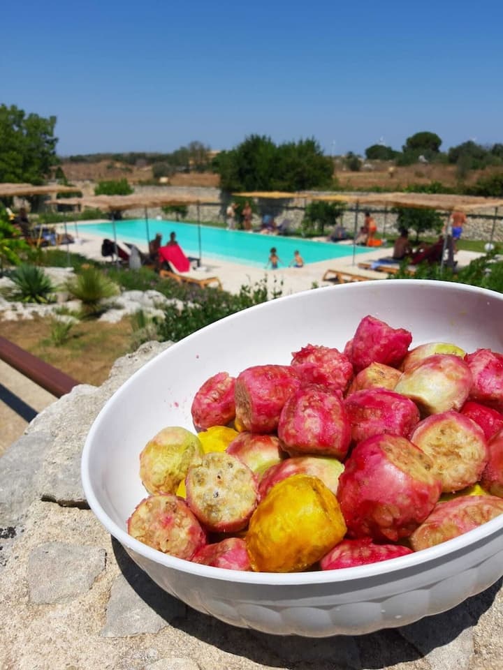 Masseria San Cosimo