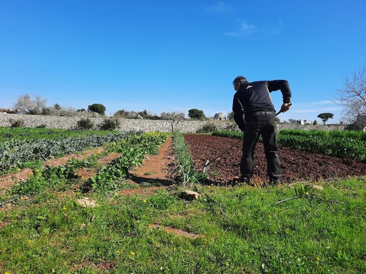 Masseria San Cosimo