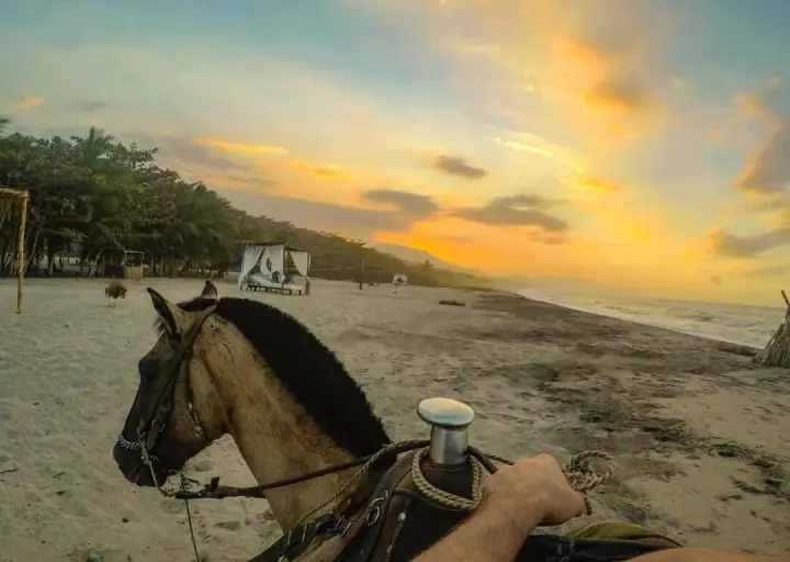 Tay Beach Hotel Tayrona
