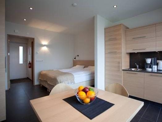 Studios Saeluhus