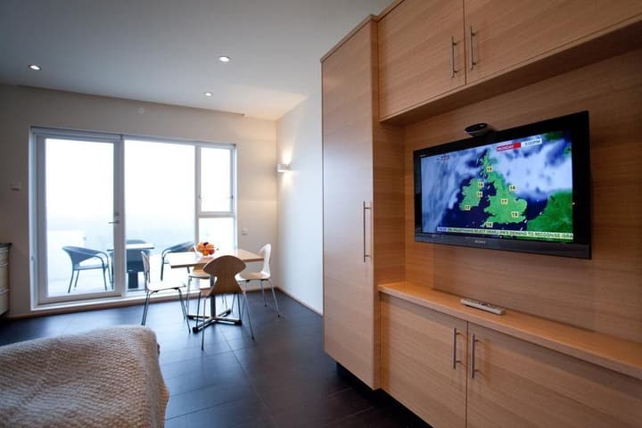 Studios Saeluhus