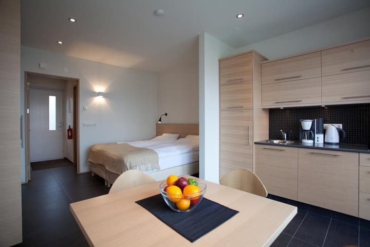 Studios Saeluhus