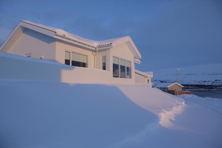 Studios Saeluhus