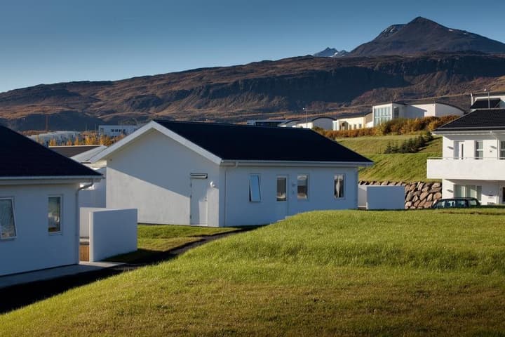 Studios Saeluhus