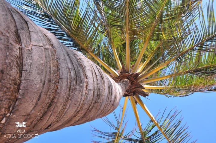 Villa Agua De Coco