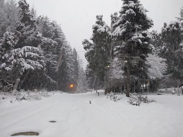 La Posada de la Flor
