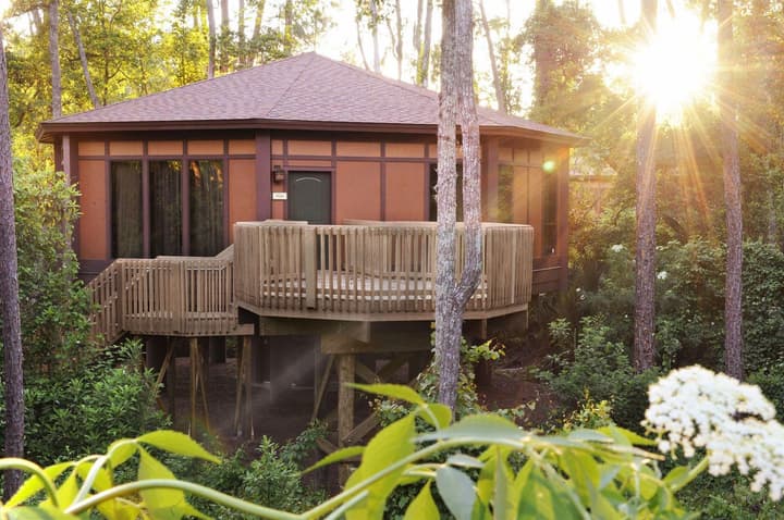 Disney's Saratoga Springs Resort & Spa