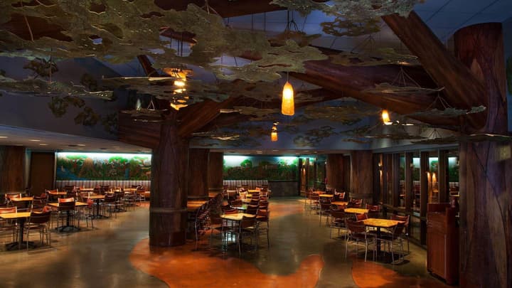 Disney's Animal Kingdom Lodge
