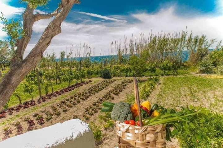 IL GATTOPARDO HOTEL & BEAUTY FARM