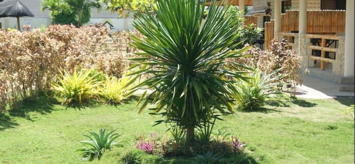 PANGLAO HOMES RESORT & VILLAS