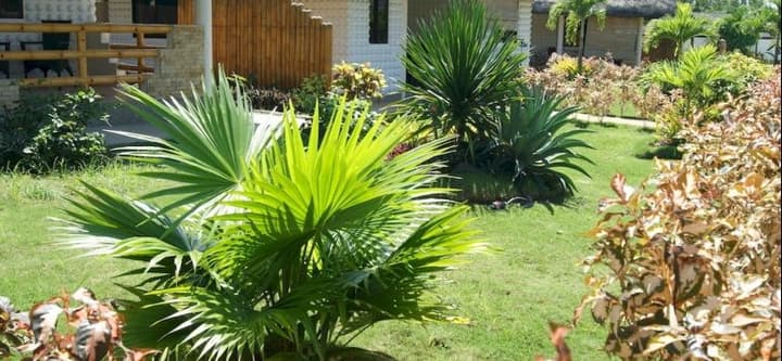 PANGLAO HOMES RESORT & VILLAS