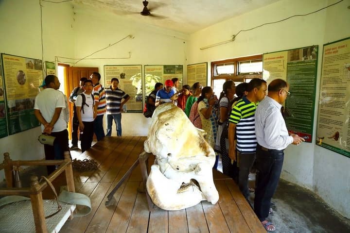 SAFARI ADVENTURE LODGE