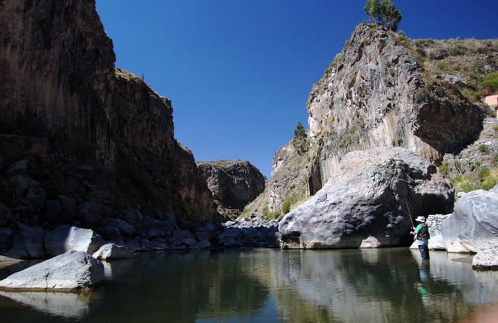 EL REFUGIO
