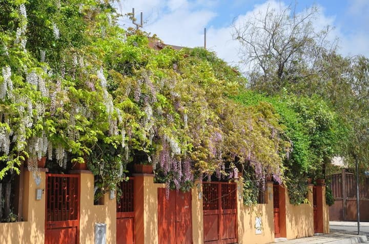 RESIDENZA LE DUE PALME