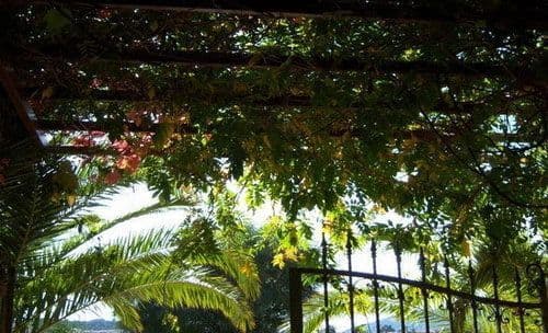 RESIDENZA LE DUE PALME