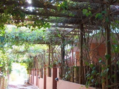 RESIDENZA LE DUE PALME